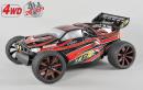 FG TR4 Truggy 4wd transp