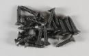 FG Vis Tx 4,2x19 (20p)      