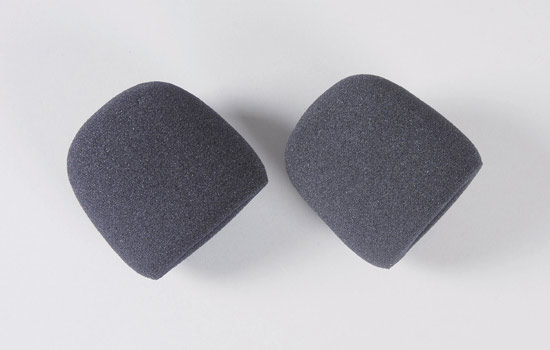 FG Foam filter (2p)