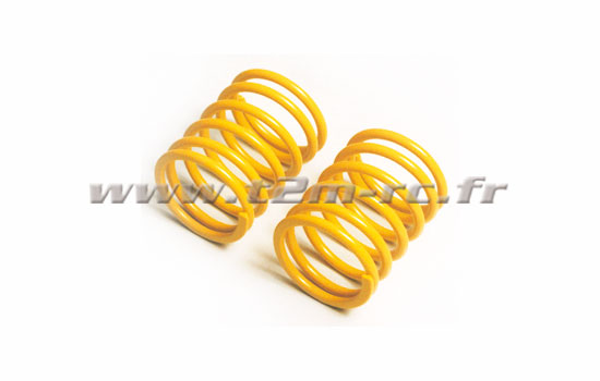 voiture 1/10 Tamiya Ressorts courts Medium