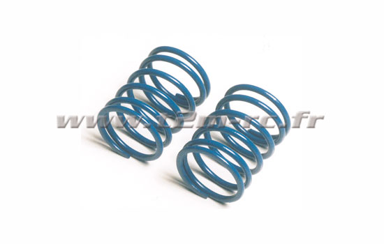 voiture 1/10 Tamiya Ressorts courts Hard